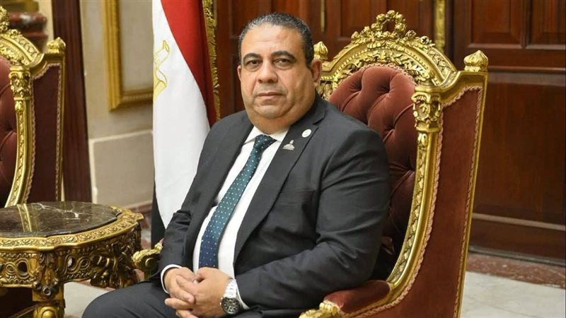 النائب أيمن الصفتي