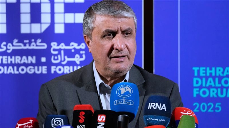 رئيس منظمة الطاقة