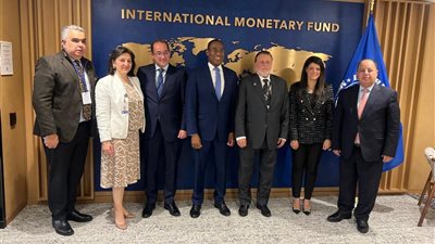 محافظ البنك المركزي المصري يلتقي نائب المدير العام لصندوق النقد الدولي