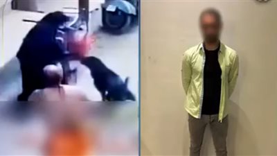 فيديوهات محرفة.. كشف تفاصيل الاعتداء على سيدة بواسطة كلب في المحلة
