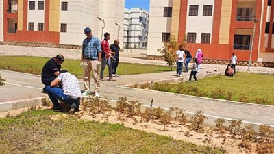 زراعة أشجار مثمرة في «العبور الجديدة» ضمن مبادرة 100 مليون شجرة