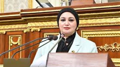 سولاف درويش: بيان الخارجية يتفق مع الثوابت المصرية لحماية الأمن القومي