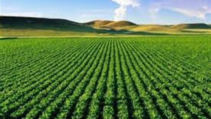 اتحاد الصناعات: مشكلات