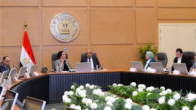 الحكومة تبحث التوسع في إقامة محطات طاقة رياح في البحر الأحمر وخليج السويس 