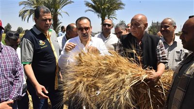 محافظ أسيوط: توريد 19,798 طن قمح محلي وحصاد 37,730 فدان  منذ بدء موسم 2025 