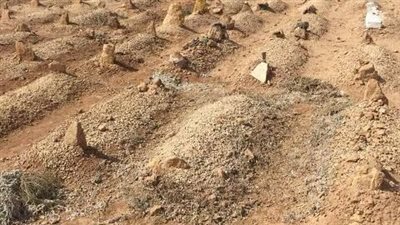 دار الإفتاء توضح الحكم الشرعي في التبرع بالأعضاء بعد الموت