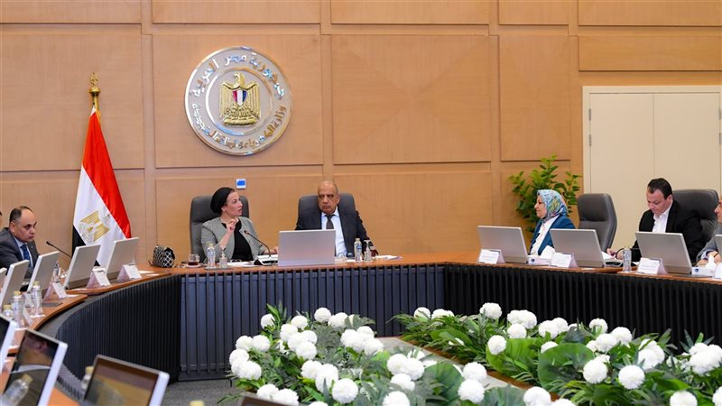 وزير الكهرباء والطاقة