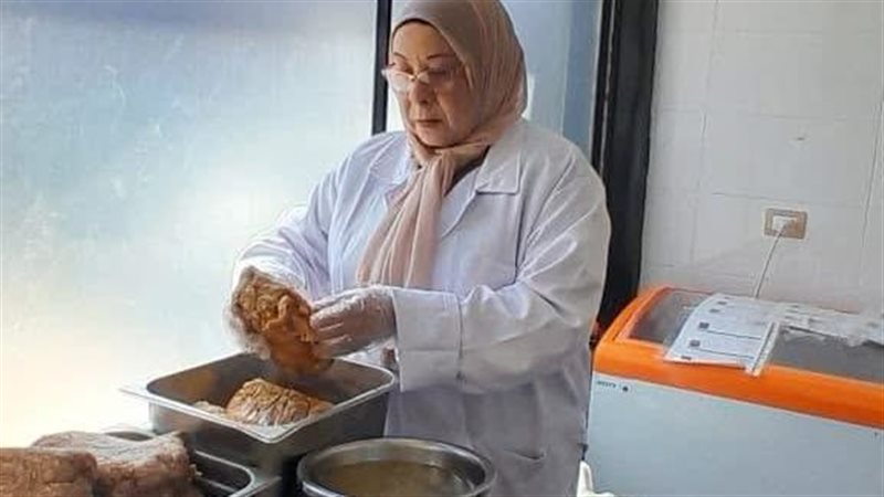جانب من الحملة