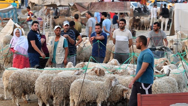 بدء العد التنازلي..