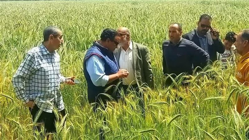 رئيس مدينة بورفؤاد