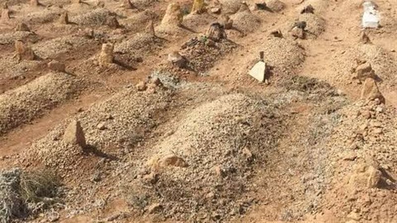 التبرع بالأعضاء بعد