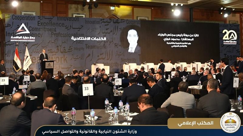 المستشار محمود فوزي