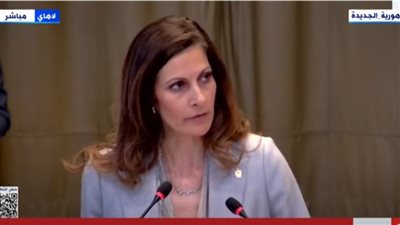 ممثلة مصر أمام «العدل الدولية»: قطاع غزة في فقر شديد 