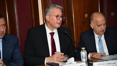 «البترول» تستهدف 42% طاقة متجددة بمزيجها الكهربائي بحلول 2030