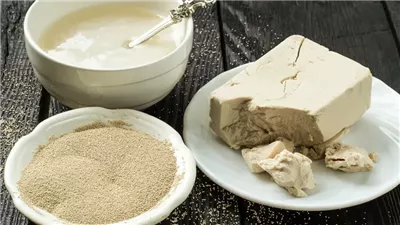 لماذا تعتبر أقراص الخميرة مفيدة لصحة الجهاز الهضمي؟ اكتشف الإجابة