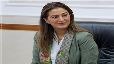 دينا البشير تدعو لموقف عربي موحد ضد تهجير الفلسطينيين وحماية حقوقهم
