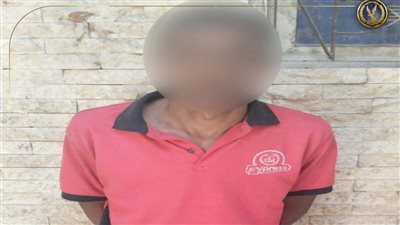 حاولت منعه من معاكستها.. القبض على عاطل تحرش بفتاة وتعدى عليها في البساتين