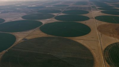 الوزراء: مستقبل مصر يعزز الأمن الغذائي ويستهدف 4.5 مليون فدان بحلول 2027