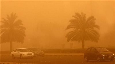 لمرضي الجيوب الأنفية .. روشتة من طبيب للتعامل مع العاصفة التربية 