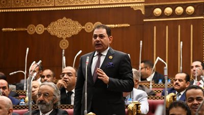 فرج فتحي: إسرائيل تشعل الجبهات لتفجير المنطقة.. ومصر تدافع عن استقرار الإقليم