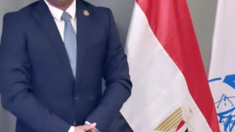 محمد محمود اقتصادى
