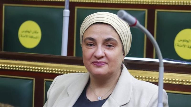 النائبة سميرة الجزار