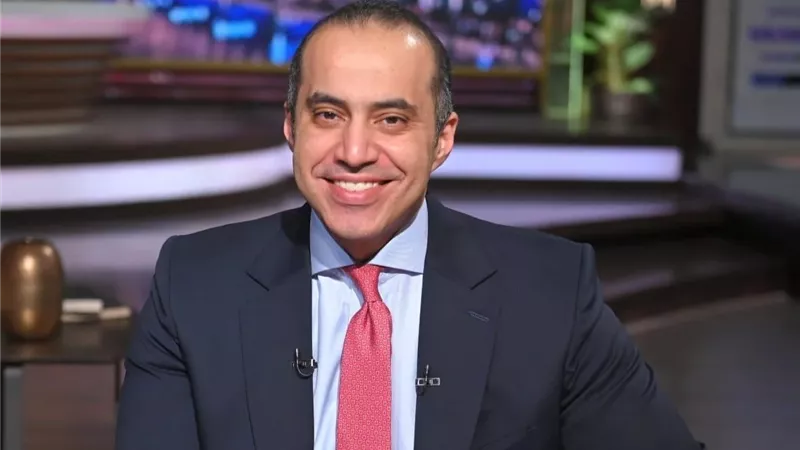 المستشار محمود فوزي،