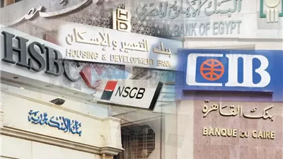 نهاية موجة الفائدة..يمنى الحماقي تكشف فرصة للتحول نحو الاقتصاد الإنتاجي