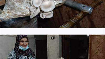 بمساعدة والدته.. شاب عشريني من الشرقية ينجح في مشروع 