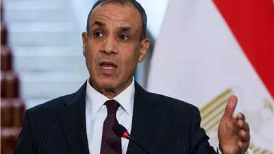 بدر عبد العاطي: القضية الفلسطينية جوهر الصراع في الشرق الأوسط