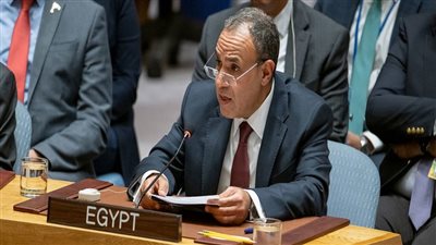 وزير الخارجية يؤكد التزام القاهرة بالدفاع عن حقوق الشعب الفلسطيني |فيديو