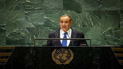 وزير الخارجية: لا ضغوط على مصر لتهجير الفلسطينيين وموقفنا ثابت 