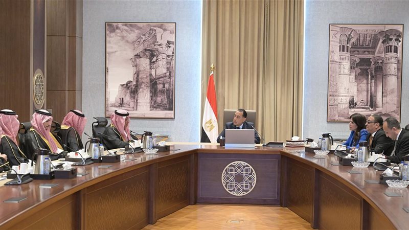رئيس الوزراء يستقبل