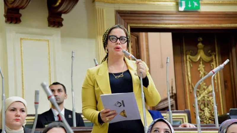 النائبة رشا كليب