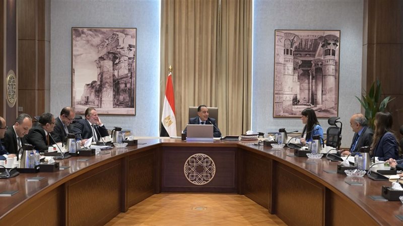 مجلس الوزراء المصري