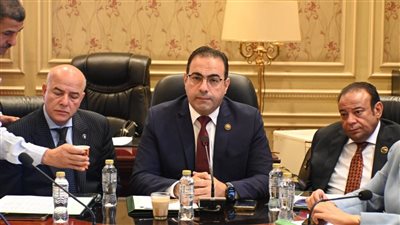 «رياضة النواب» تطالب الحكومة بمزيد من دمج الشباب في الحياة السياسية وتمكينهم 
