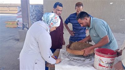  الجيزة: توريد 16 ألف طن قمح محلي بمواقع الاستلام والتخزين منذ بداية الموسم 