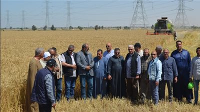 الزراعة: نواصل متابعة أعمال حصاد وتوريد القمح في المحافظات