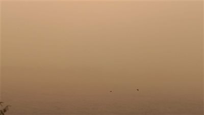 العاصفة الترابية تضرب المنيا.. والرؤية الأفقية تنخفض |الفيديو