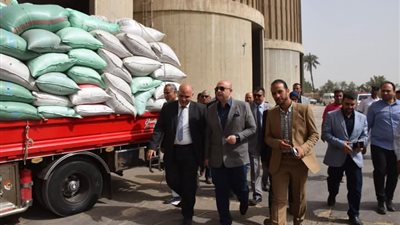 توريد 30 ألف طن قمح داخل 22 موقع تخزينى في بني سويف