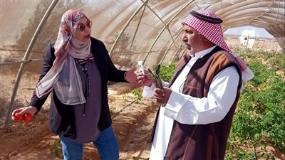 الزراعة تعلن حالة الضرورة القصوى لضمان حماية المزارعين من العاصفة 