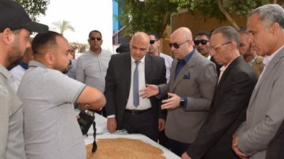 استلام 64 ألف طن قمح وتحرير 240 محضراً بمخابز ومستودعات بني سويف