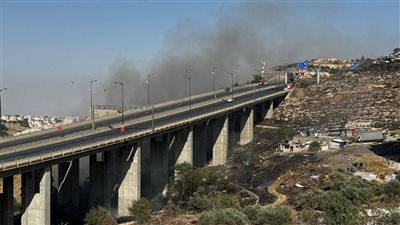حرائق ضخمة تضرب مستوطنات غرب القدس وإسرائيل تطلب مساعدات دولية