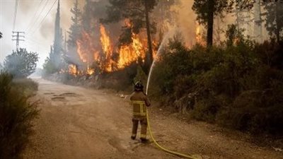 نقل 13 إسرائيليا إلى المستشفيات بسبب حرائق القدس