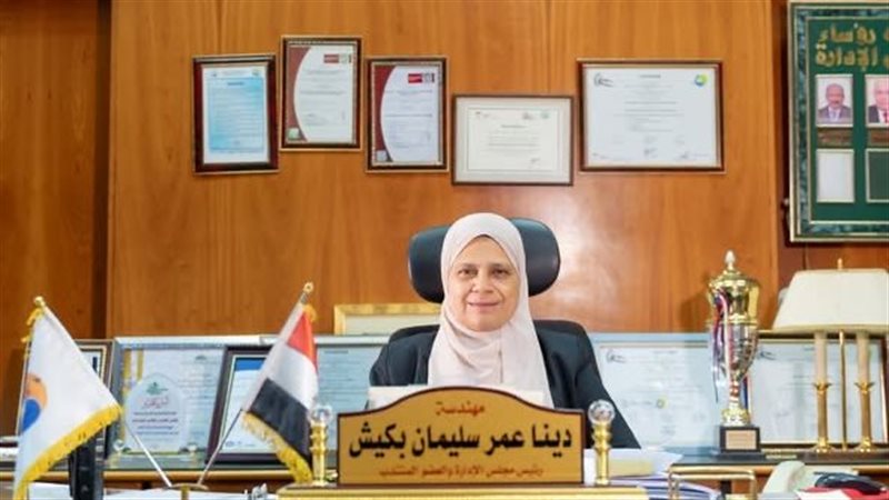 المهندسة دينا عمر