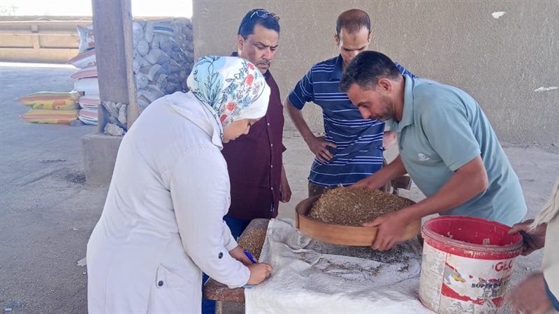  أعمال استلام القمح