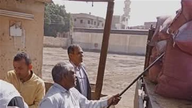 توريد محصول القمح