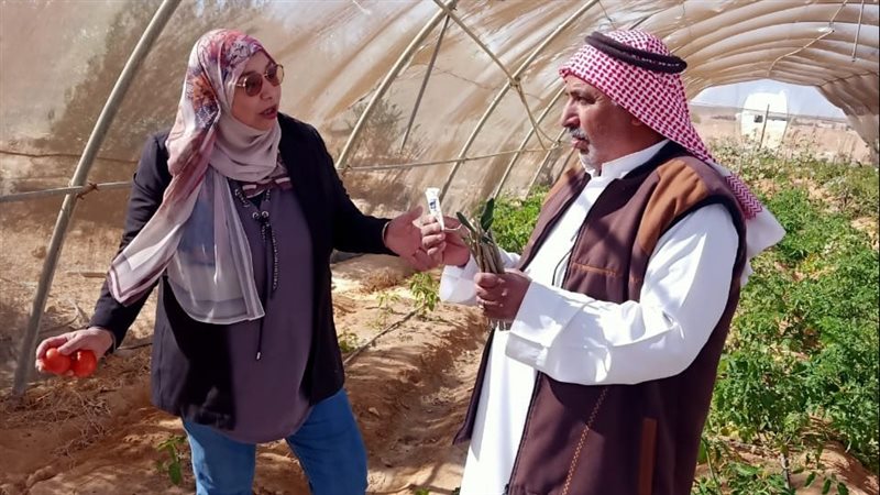 مرور ميداني