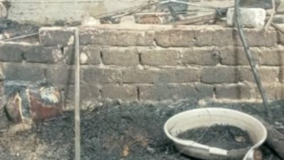 اندلاع حريق في منزل وأشجار نخيل بقنا تزامنا مع العاصفة الترابية