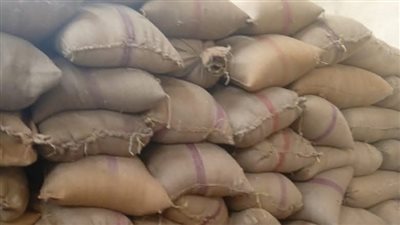 المنيا تتجاوز الـ 100 ألف طن.. حصاد القمح يسير بخطى ثابتة نحو تحقيق الاكتفاء 